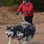 CJ and Indy training with Carol
